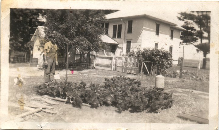 0398.jpg - Ray Roth and ginneas  1950c